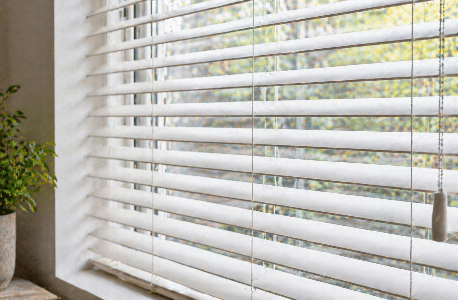 Venetian Blinds